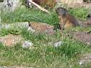 IMG_9273.JPG